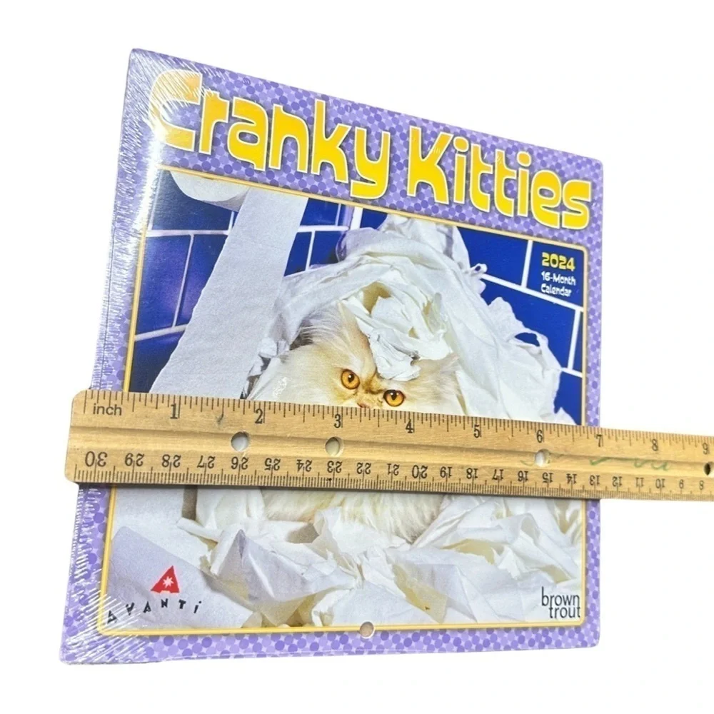 2024 Cranky Kitties 16-Month Calendar (NWT) 😺